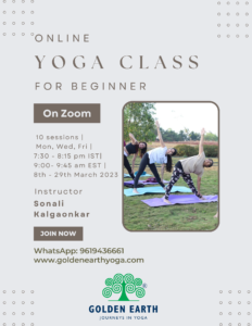 Online Beginners Yoga